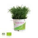 Golli-Thek® Plantolli